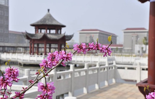 富锦市技工学校图片