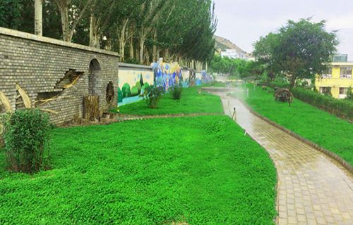 原平市星海艺术学校图片