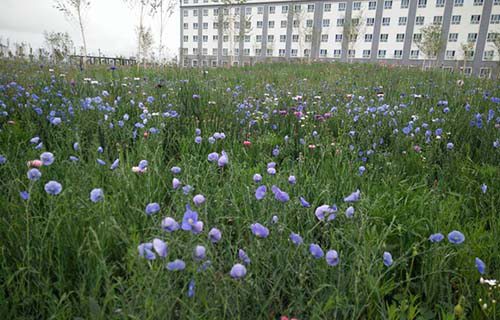 烟台市高级技工学校图片
