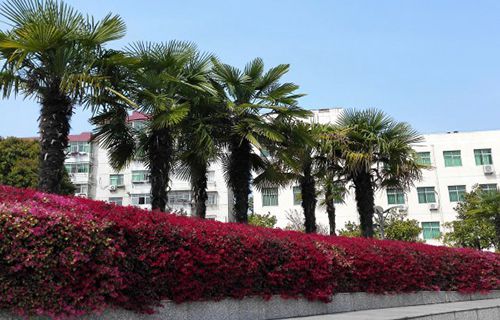 郎溪县卫生进修学校图片