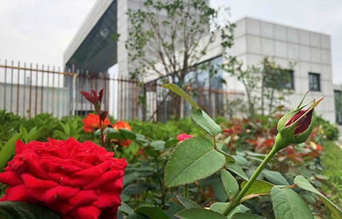 原平市英才中学(职教班)图片
