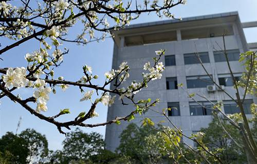 辽镁公司技工学校图片