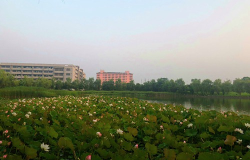 皖西建设技工学校图片