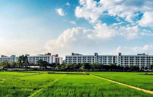 安徽省六安地区财政税务干部学校图片