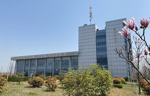 新疆兵团农四师七十二团职业中学图片
