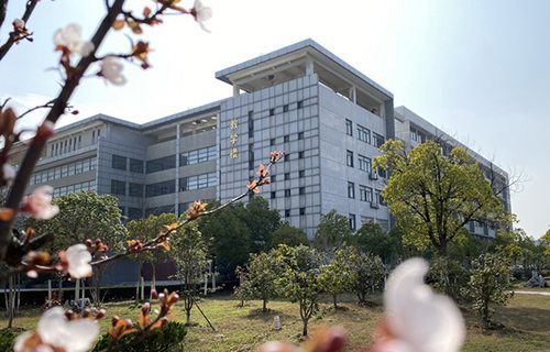 新疆兵团农四师七十二团职业中学图片