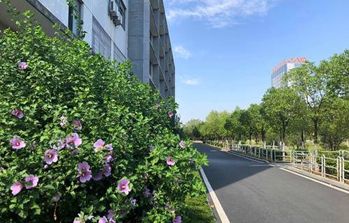 新疆兵团农四师七十二团职业中学图片