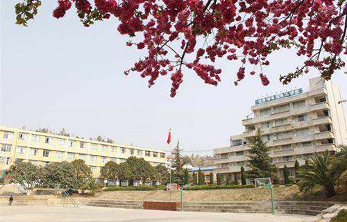 桂林林业学校图片