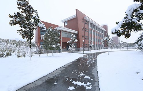 宁武县职业学校图片