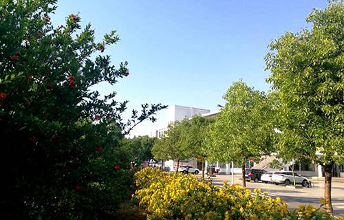 黑河市职业技术学校图片