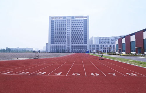 六安市双河镇新塘职业中学图片
