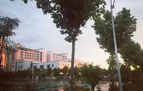 新疆维吾尔自治区林业学校图片