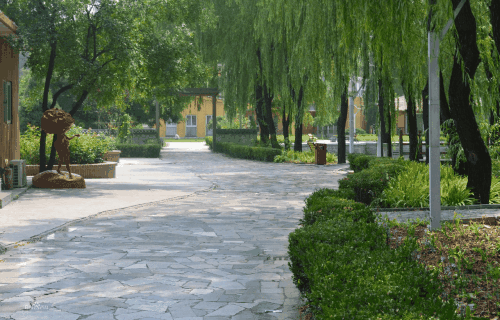招远市高级职业学校图片