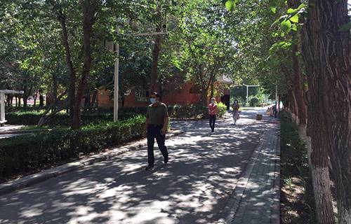 新疆交通职业学院图片