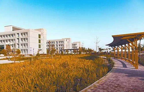 金昌市理工中等专业学校图片