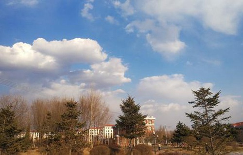 阜新市细河区职教中心图片
