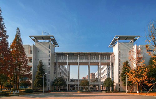 新疆商业技工学校图片