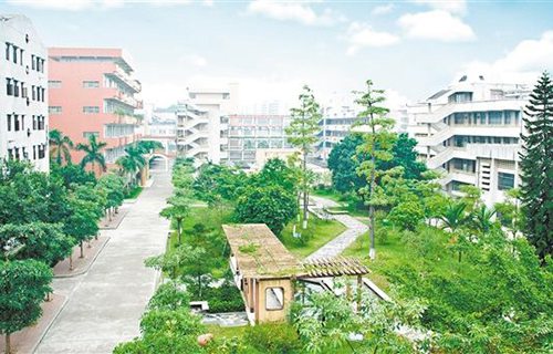 富宁县科学技术培训校图片