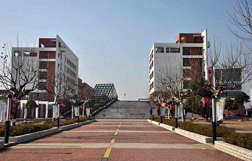 富宁县科学技术培训校图片
