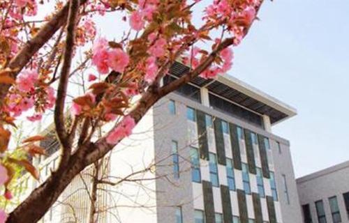 南郑龙门职业技术学校图片