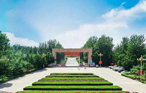 青冈县职教中心图片