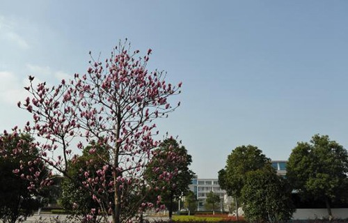 无锡技师学院图片