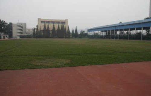 辽阳市体育运动学校图片