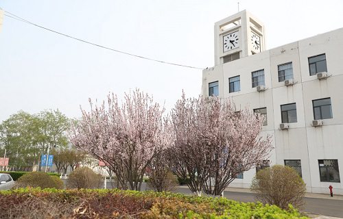 天津市劳动经济学校图片