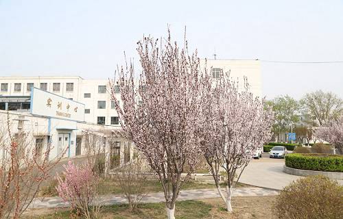 天津市劳动经济学校图片