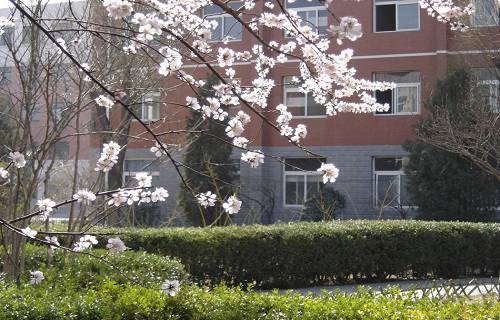 北京商贸学校图片