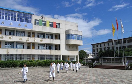 临沧卫生学校图片