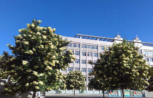朝阳市财经学校图片
