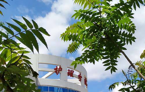 黑龙江农垦科技职业学院图片