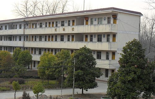 颍上县新庙高级职业中学图片