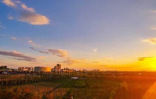阿克苏市职业中学图片