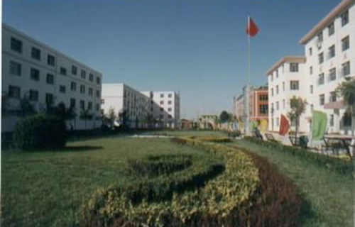 廊坊市体育学校图片