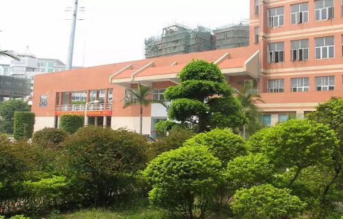 福建省泉州体育运动学校图片