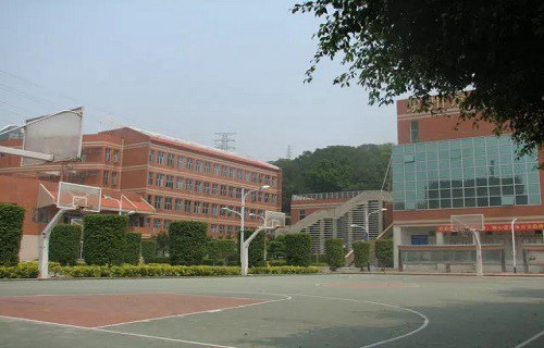 福建省泉州体育运动学校图片