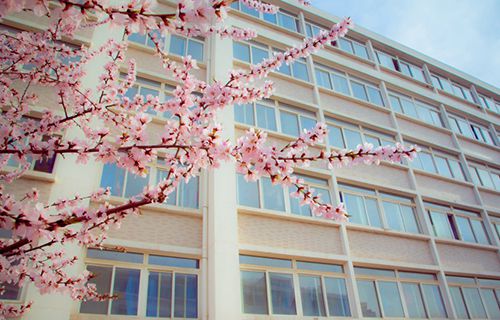 安丘市技工学校图片