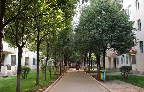 玉溪工业财贸学校图片
