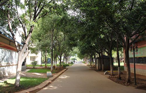 玉溪工业财贸学校图片