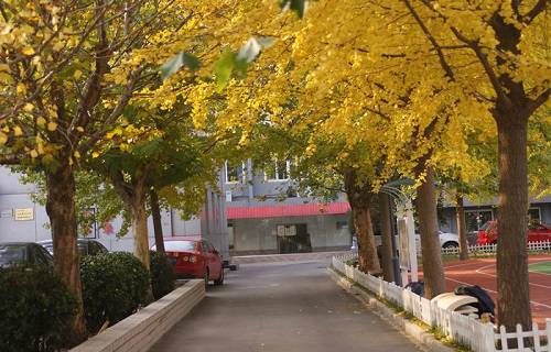 北京市经济管理学校图片