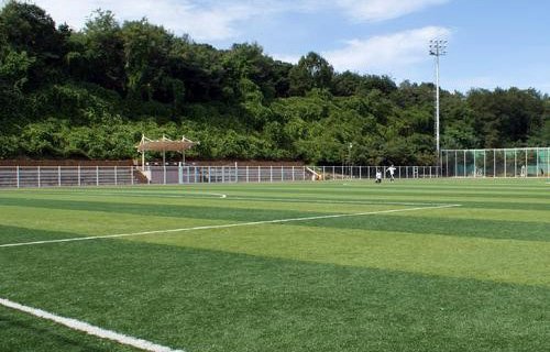 方山县职业中学图片