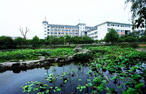 哈尔滨幼儿师范学校图片