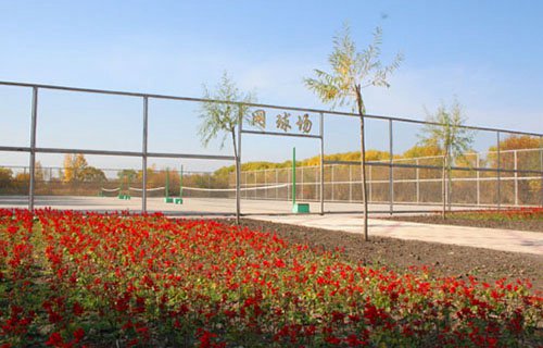 铜陵县茶林高级职业中学图片