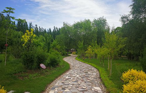 铜陵县茶林高级职业中学图片