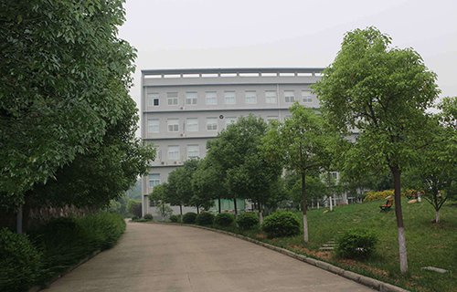 铜陵县凤凰初级职业中学图片