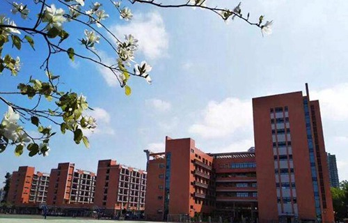 会泽县职业中学图片