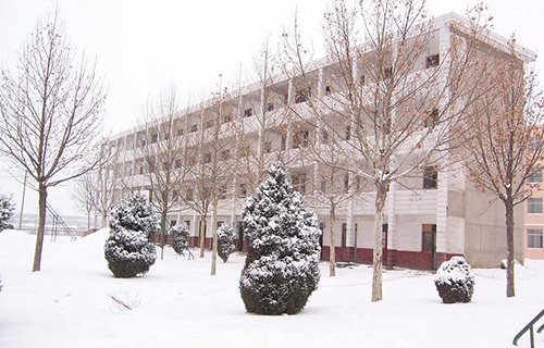 白水县职业中等专业学校图片