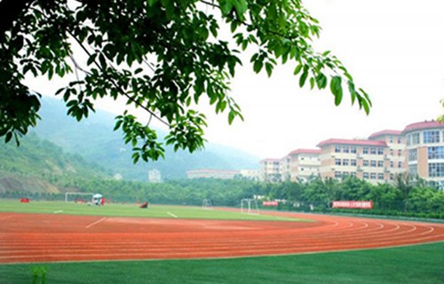 蒲城县龙阳高级职业中学图片